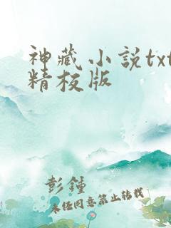 神藏小说txt精校版