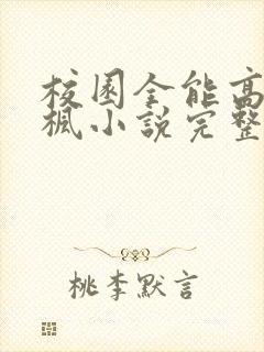 校园全能高手季枫小说完整版txt