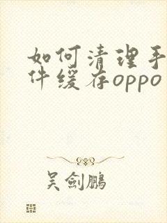 如何清理手机软件缓存oppo