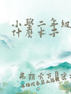 小学二年级都用什么本子