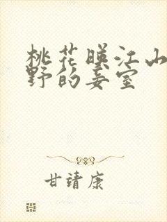 桃花映江山沈在野的妾室