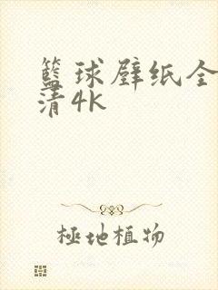 篮球壁纸全屏高清4k