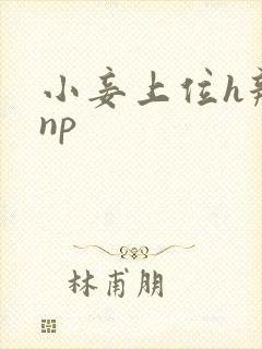 小妾上位h辣文np