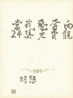 当我飞奔向你第24集免费观看