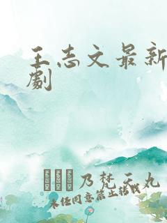 王志文最新谍战剧