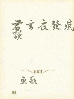君玄夜发疯的小说