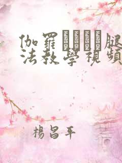 伽罗ちゃんが腿法教学视频