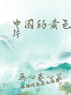 中国的黄色一级片