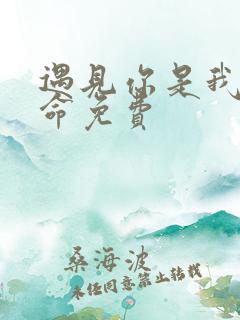 遇见你是我的宿命免费