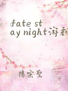 fate stay night游戏资源