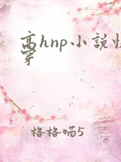 高hnp小说快穿