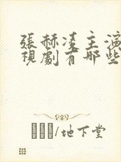 张赫凌主演的电视剧有哪些