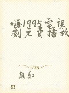 嗨1995电视剧免费播放在线观看