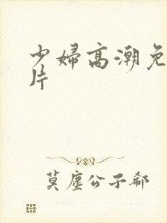 少妇高潮免费毛片