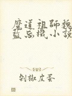 魔道祖师魏无羡蓝忘机小说读