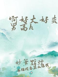 啊好大好爽啊男男高h