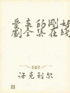 爱来的刚好电视剧全集在线观看