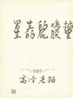 男生的鸡插进女生的屁股里