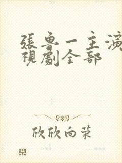 张鲁一主演的电视剧全部