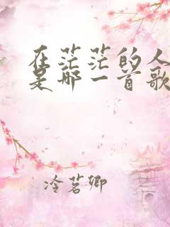 在茫茫的人海里是哪一首歌的歌词