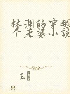 林渊的穿越娶三个老婆小说名字