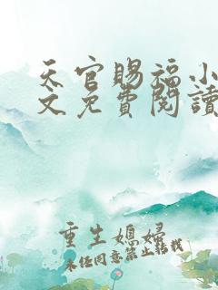 天官赐福小说全文免费阅读无删减
