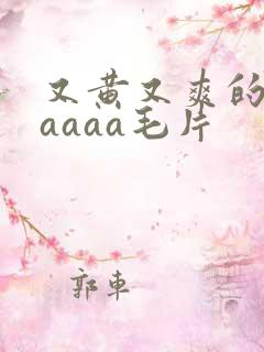 又黄又爽的aaaaaa毛片