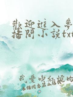 欢迎进入梦魇直播间小说txt精校版