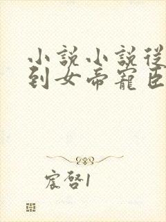 小说小说从赘婿到女帝宠臣