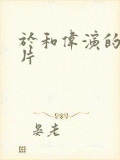 于和伟演的谍战片