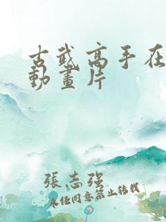 古武高手在都市动画片