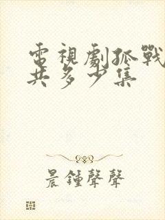 电视剧孤战迷城共多少集