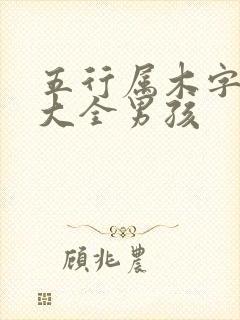 五行属木字吉字大全男孩