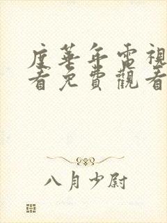 度华年电视剧观看免费观看