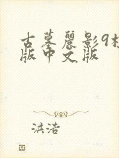 古墓丽影9标准版中文版