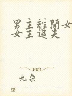 男主离开女主,女主追夫
