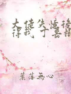 大佬失忆后只记得我 丁嘉树