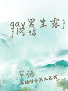 gay男生露jj网站