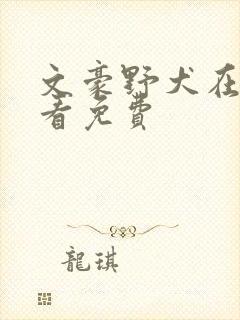 文豪野犬在哪里看免费