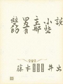 双男主小说好看的有哪些