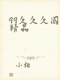 99久久久国产精品