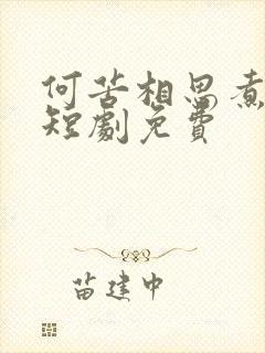 何苦相思煮余年短剧免费