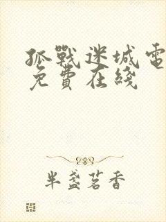 孤战迷城电视剧免费在线