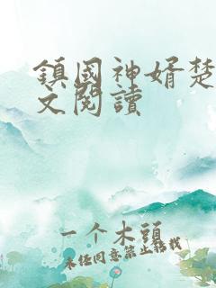 镇国神婿楚尘全文阅读