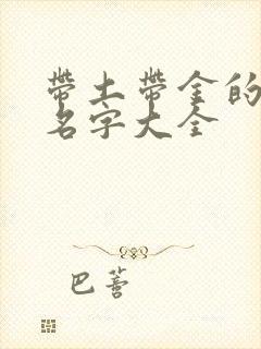 带土带金的男孩名字大全