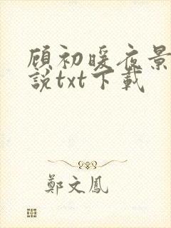 顾初暖夜景寒小说txt下载