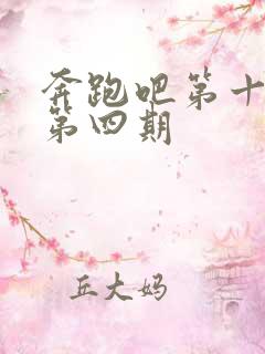 奔跑吧第十一季第四期