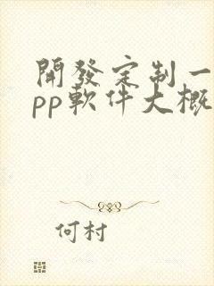 开发定制一个app软件大概多少钱