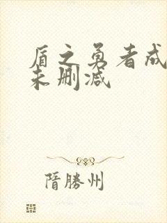 盾之勇者成名录未删减