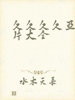 久久久久亚洲毛片大全